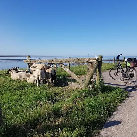Сasa de vacaciones J10 Eingefriedetes In Eckwarderhoerne By Interhome Grosswurden