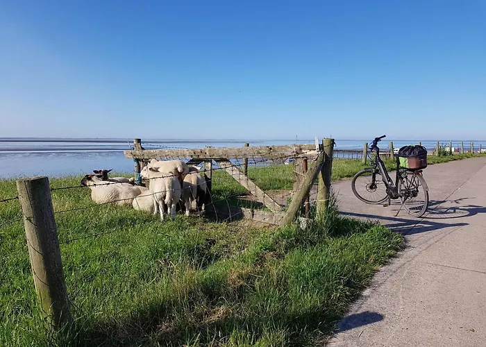 Сasa de vacaciones J10 Eingefriedetes In Eckwarderhoerne By Interhome Grosswurden